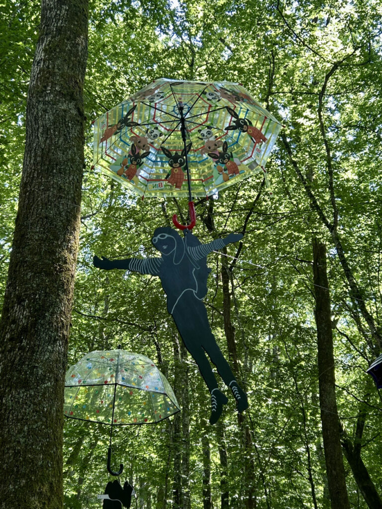 ils s'envolent vers l'inconnu